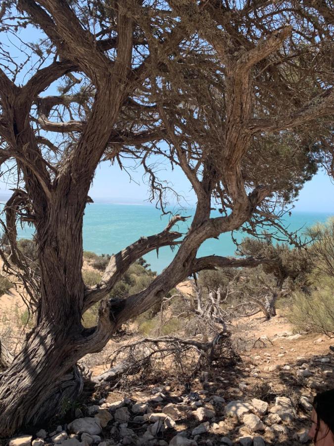 Dar Gecko Otel Sidi Kaouki Dış mekan fotoğraf